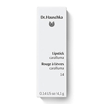 Помада для губ 14 насыщенно-коричневая караллума (Lipstick 14 caralluma) Dr. Hauschka | интернет-магазин натуральных товаров 4fresh.ru - фото 2