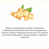 Гель для душа "Energy" Weleda | интернет-магазин натуральных товаров 4fresh.ru - фото 3