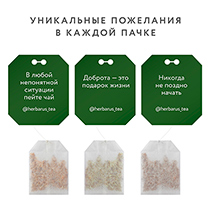 Чай из трав "Заряд витаминов", в пакетиках Herbarus | интернет-магазин натуральных товаров 4fresh.ru - фото 6