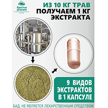 Концентрат "Detox" Алтайские Традиции | интернет-магазин натуральных товаров 4fresh.ru - фото 6