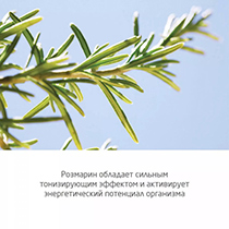 Крем для бритья Weleda | интернет-магазин натуральных товаров 4fresh.ru - фото 2