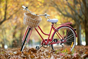 Велопрогулки по городу: как выбрать велосипед для девушки?